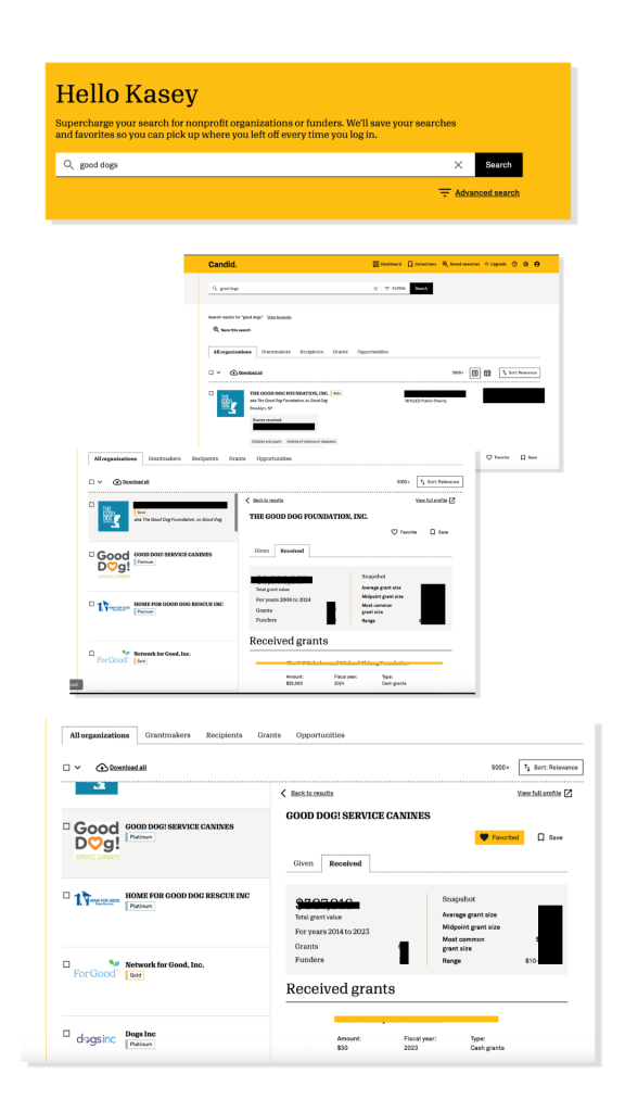 search experience windows